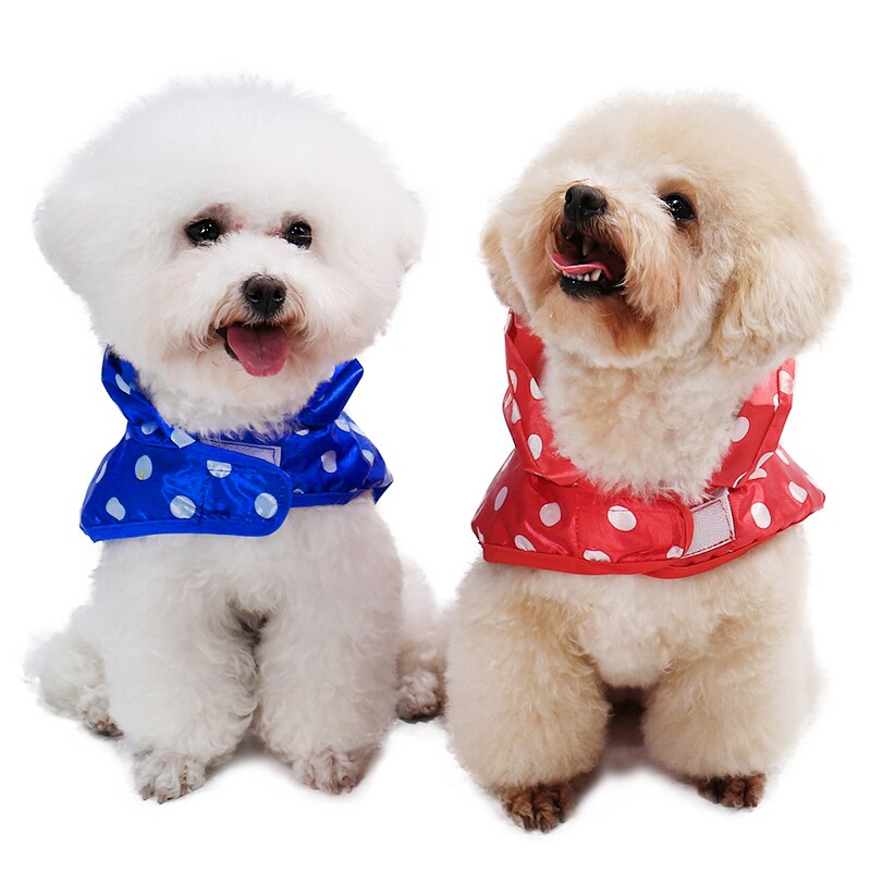 Polka Dot Printed Raincoat for Dogs