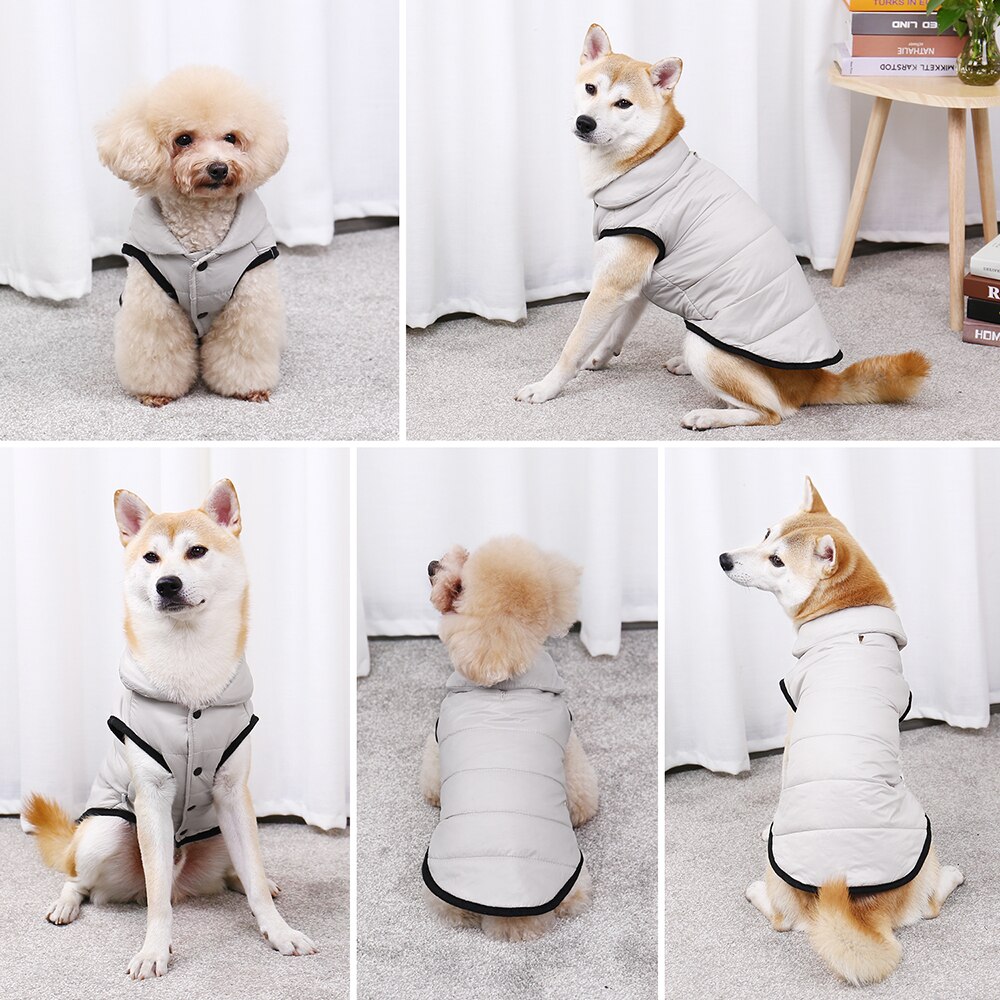 Stylish Winter Jacket for Dogs