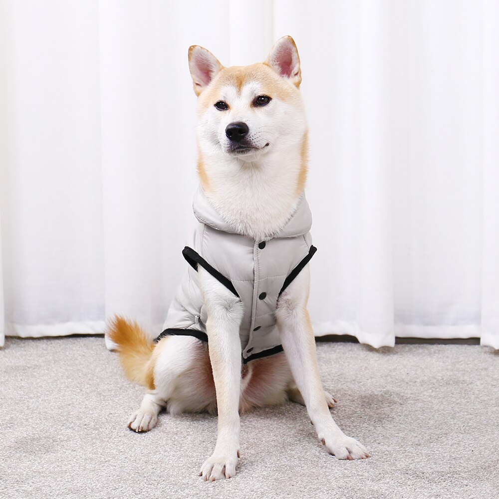 Stylish Winter Jacket for Dogs