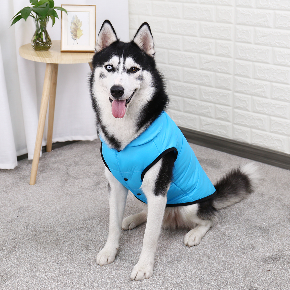 Stylish Winter Jacket for Dogs