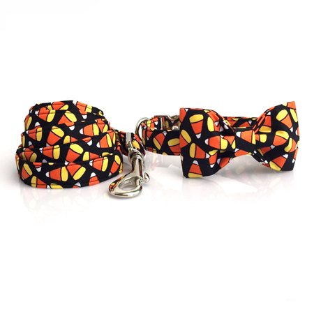 Collar Bow and Leash