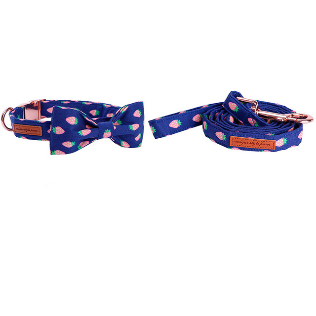 Collar Leash and Bow