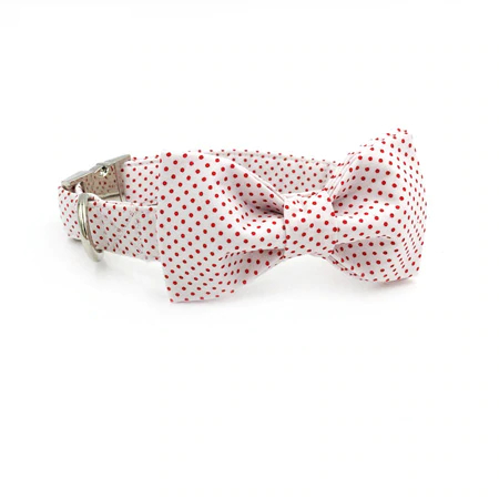 Collar with Bowtie