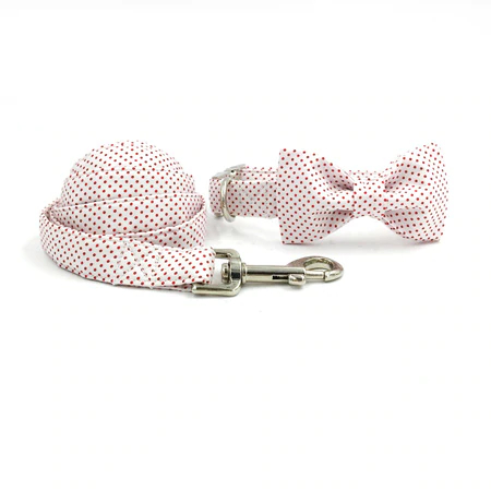 Collar Bow and Leash