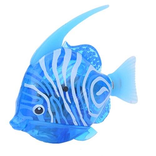 Angelfish Light Blue