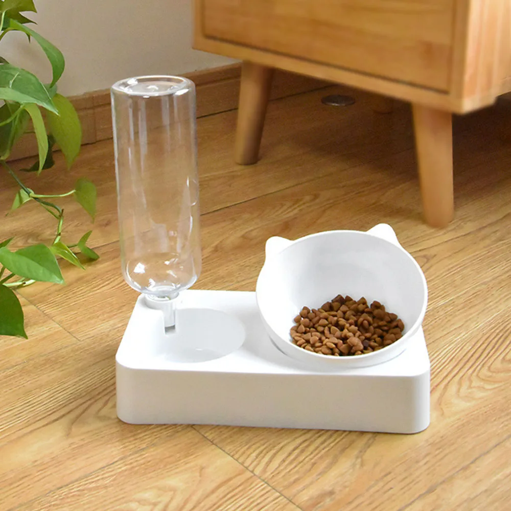 Cat's Food and Water Bowl