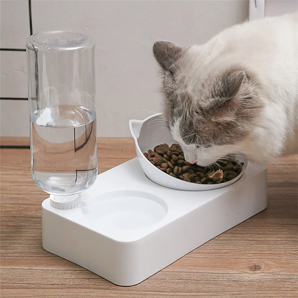 Cat's Food and Water Bowl