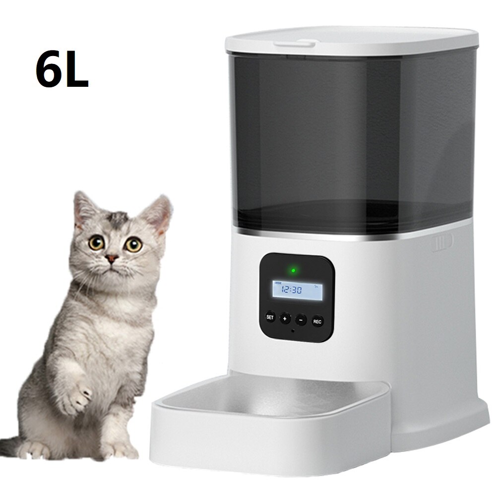 Button Pet Feeder