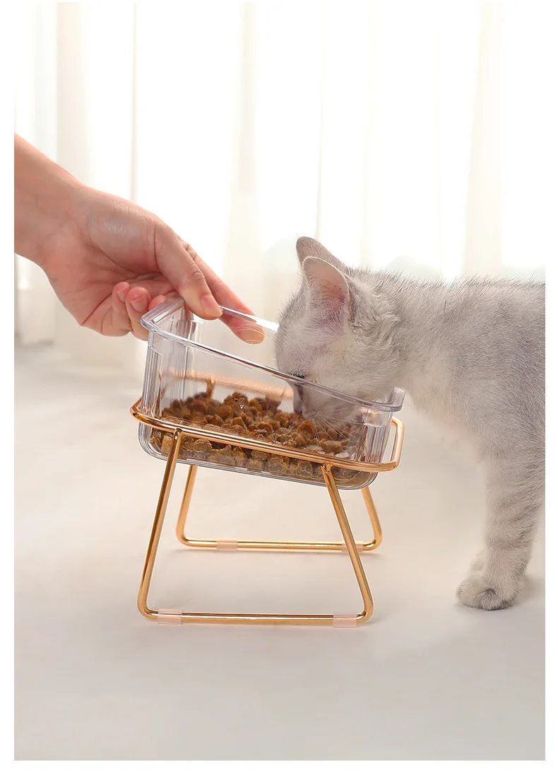 Pet's Double Non-Slip Bowl