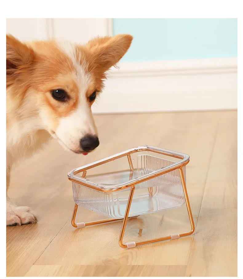 Pet's Double Non-Slip Bowl